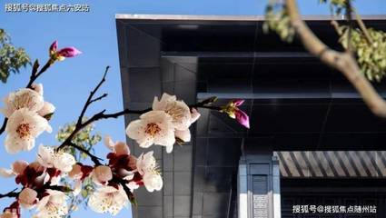 【推薦】美的君耀府丨寧波慈溪美的君耀府——歡迎您丨開發商推薦網站——美的君耀府_樓盤詳情