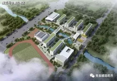 杭州灣新區(qū)請給我一個機會,讓我認識你