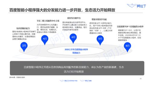 阿拉丁研究院 2020年上半年小程序互聯網發展白皮書 