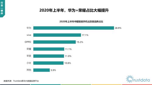 trustdata 2020年上半年中國移動互聯網行業發展分析報告 